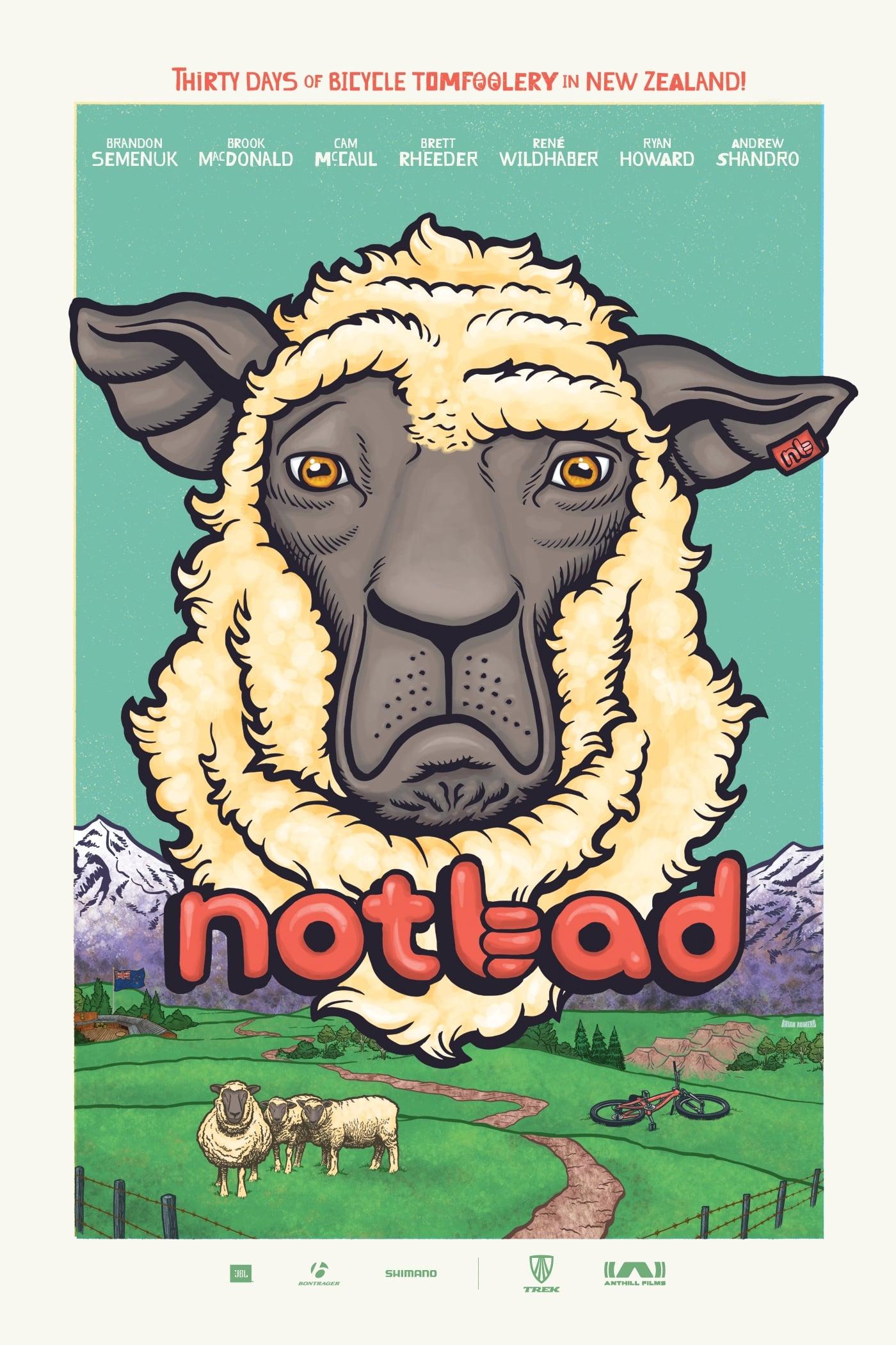 NotBad poster