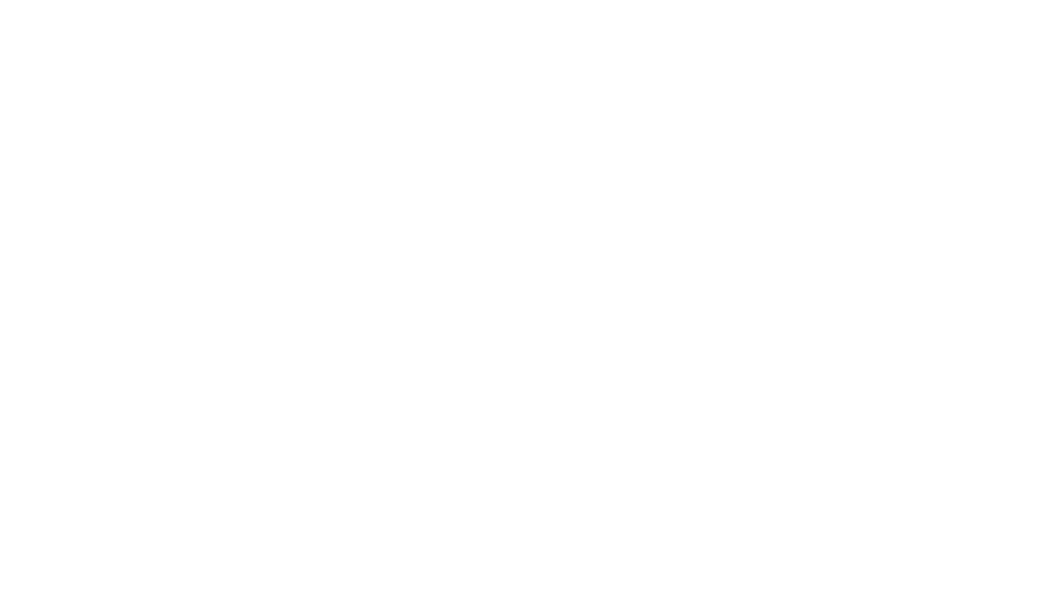 Blitz Patrollie logo