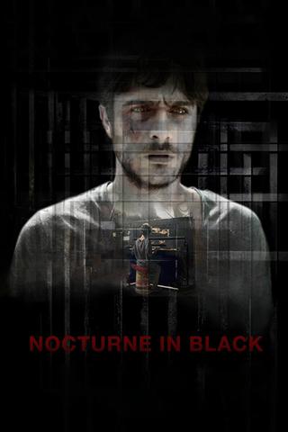 Nocturne in Black poster