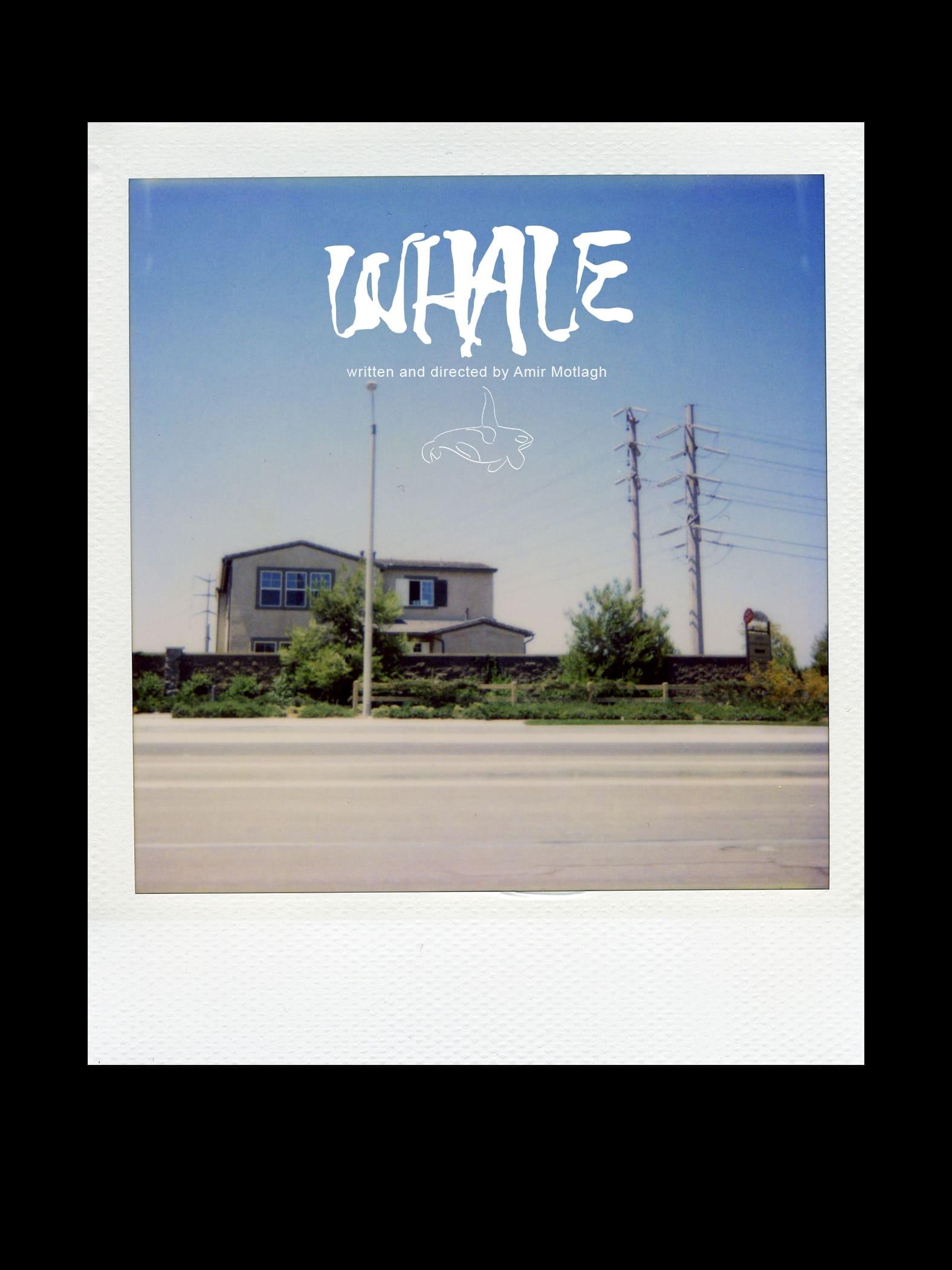 Whale poster