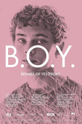 B.O.Y. - Bruises of Yesterday poster