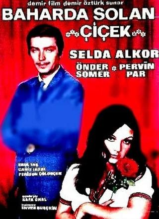 Baharda Solan Çiçek poster