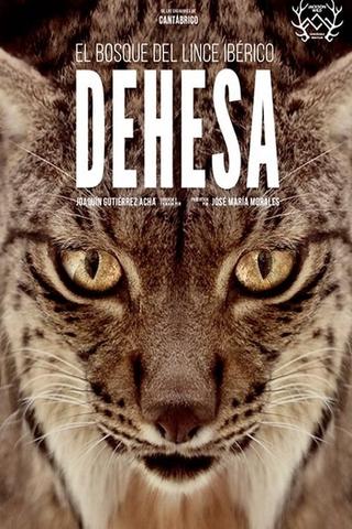 Dehesa: The Forest of the Iberian Lynx poster