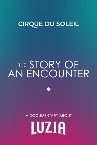 The Story Of An Encounter poster