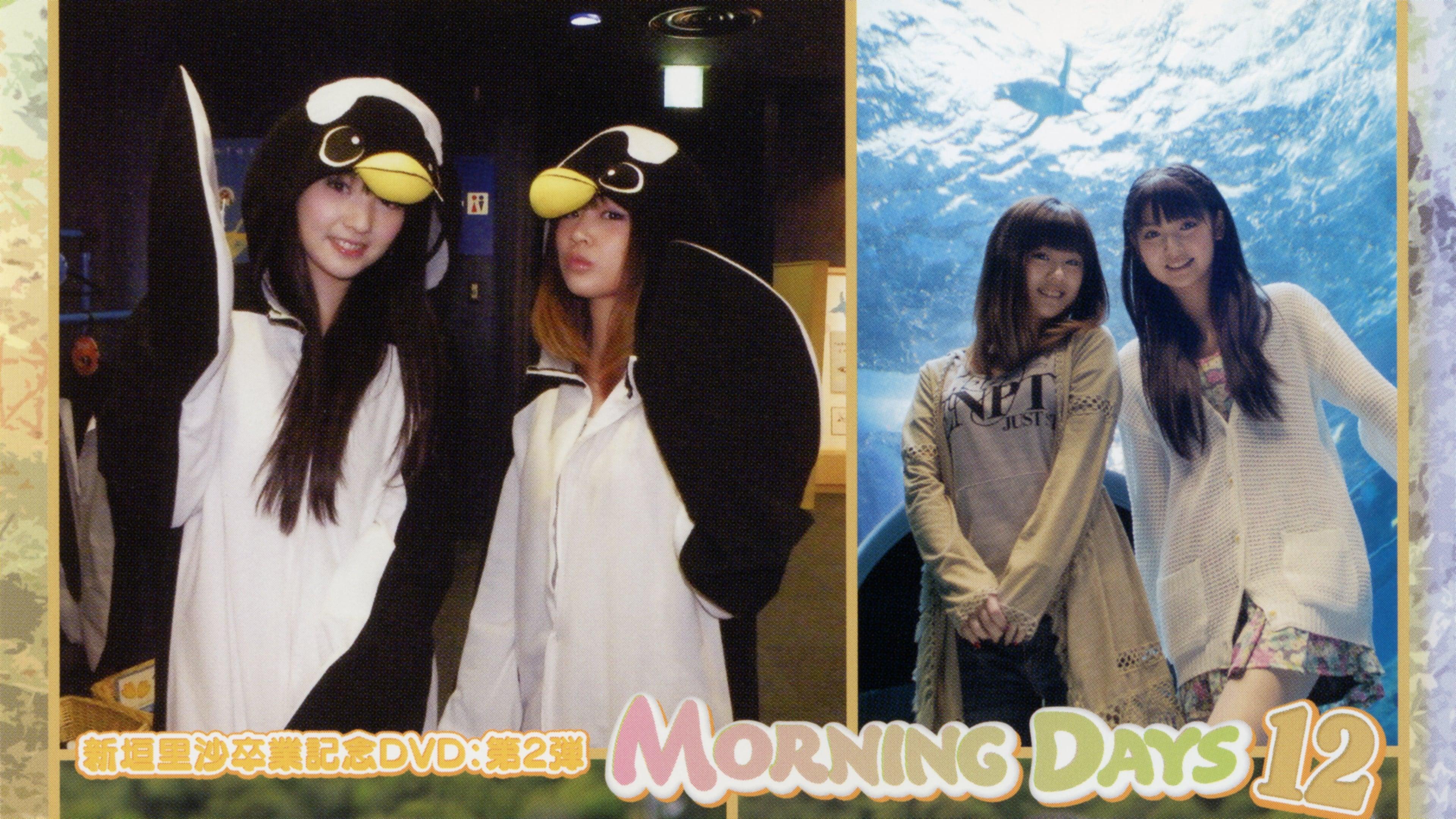 Morning Days 12 ~Niigaki Risa & Michishige Sayumi in Yamaguchi~ backdrop