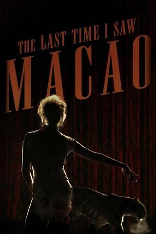 The Last Time I Saw Macao poster