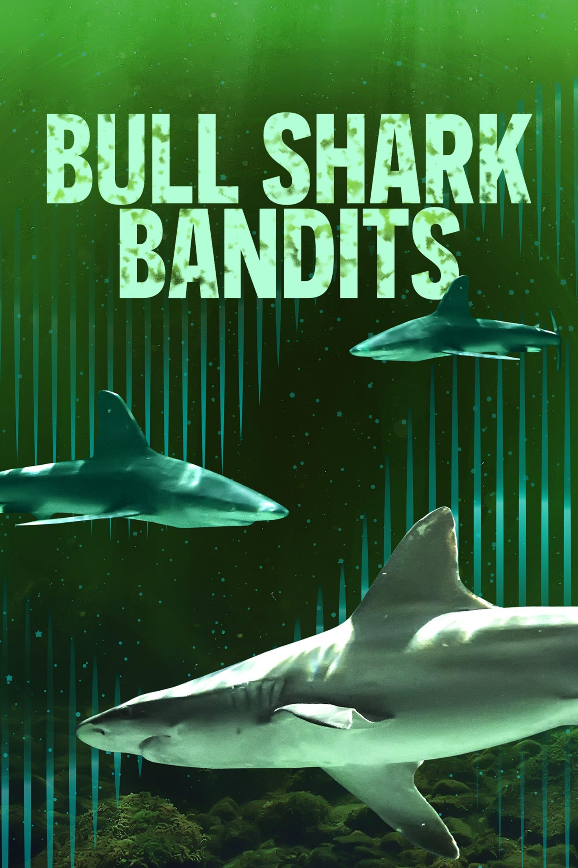 Bull Shark Bandits poster