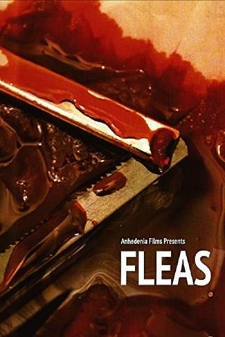 Fleas poster