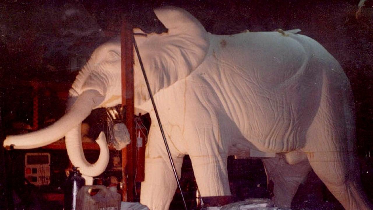 El elefante del rey backdrop