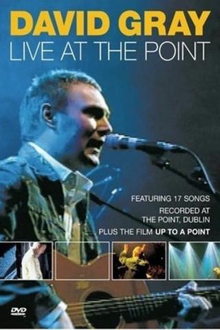David Gray: Live at the Point poster
