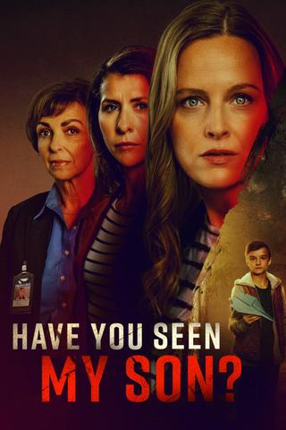 Have You Seen My Son? poster