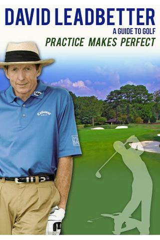 David Leadbetter : Practice Makes Perfect poster