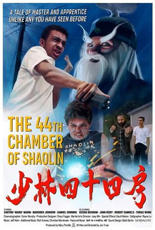 The 44th Chamber of Shaolin poster