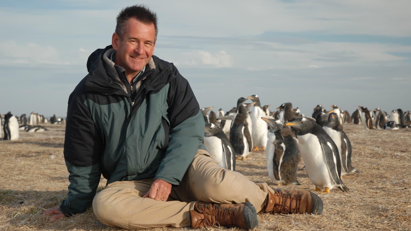 Penguin Adventure with Nigel Marven backdrop
