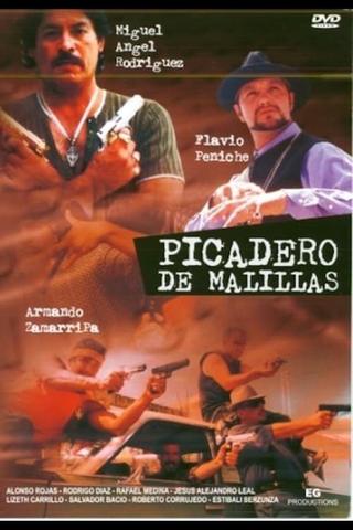 Picadero de malillas poster