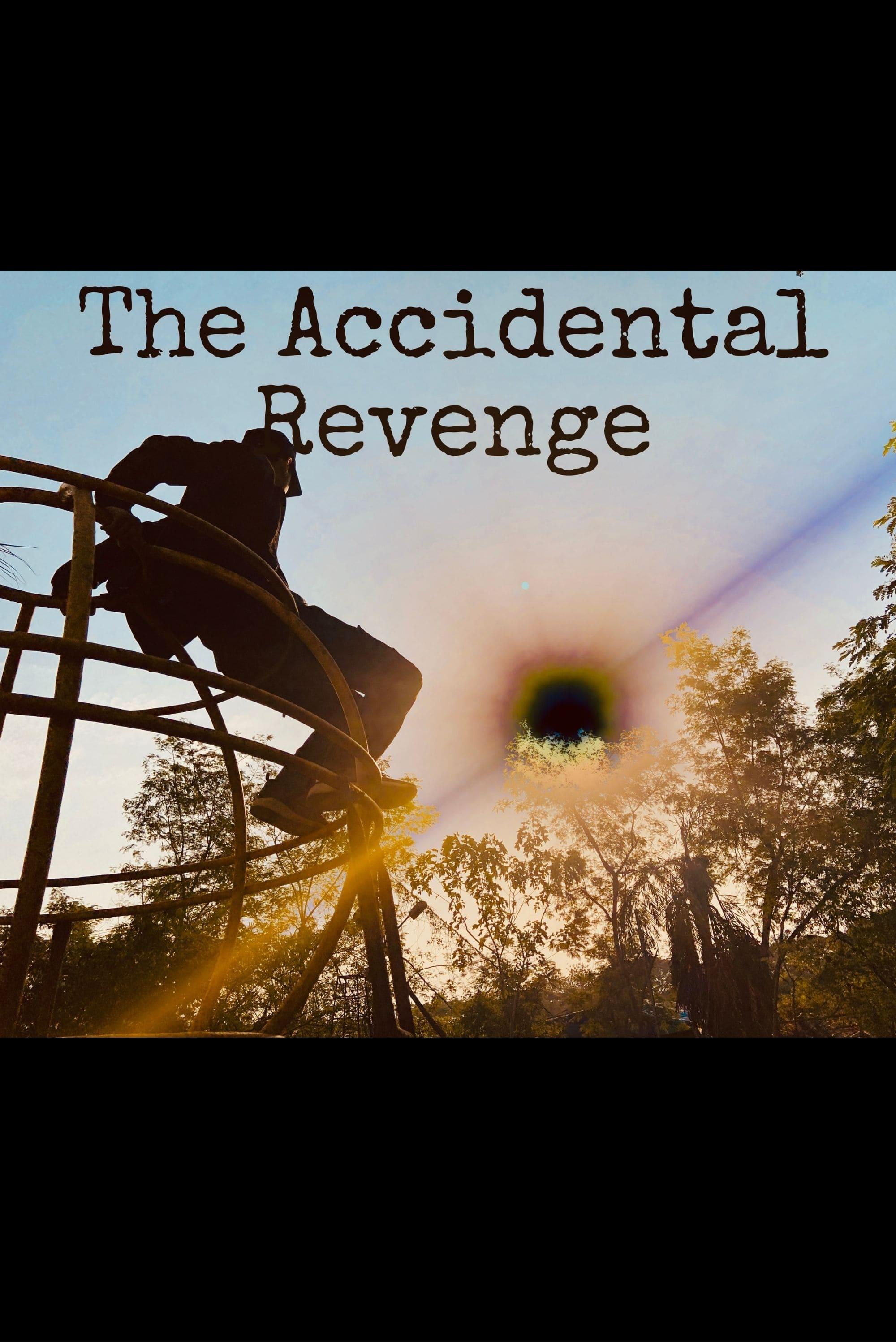 The Accidental Revenge poster