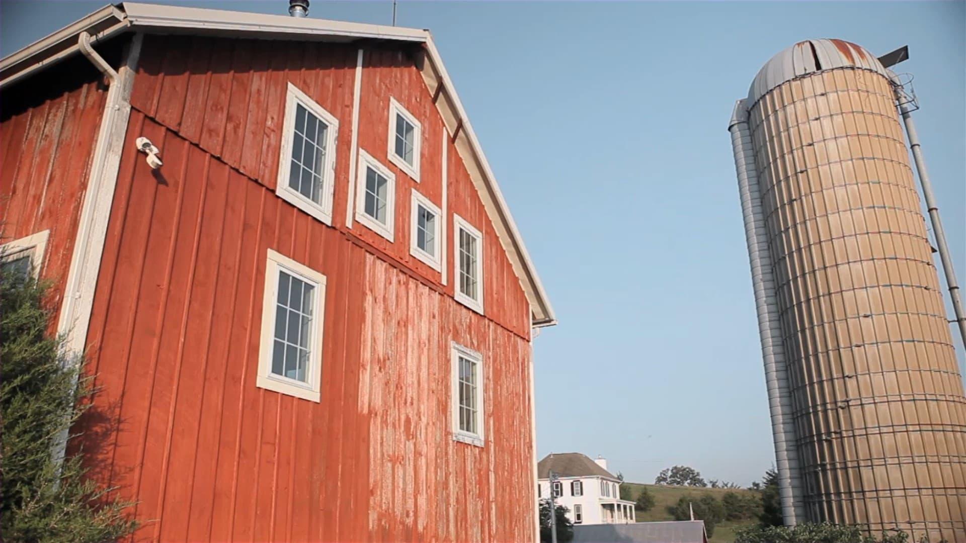 Andrew Bird: Fever Year backdrop