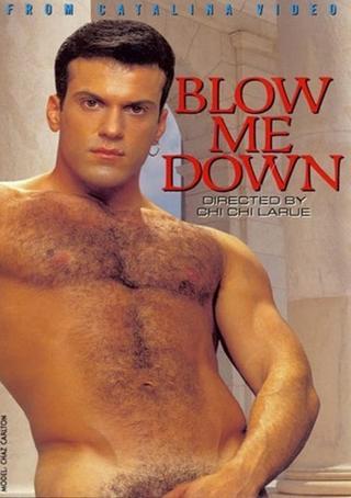 Blow Me Down poster