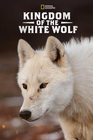 Kingdom of the White Wolf poster