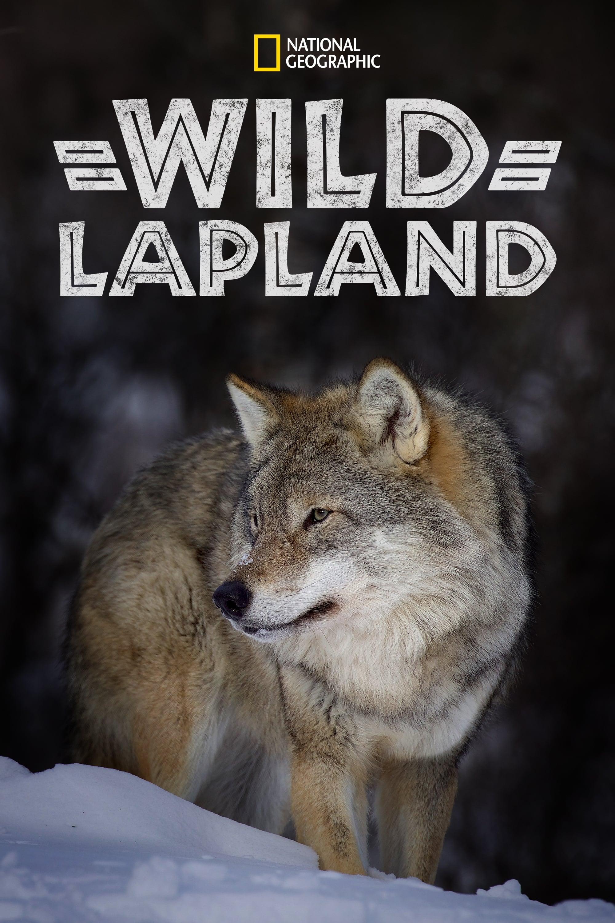 Wild Lapland poster