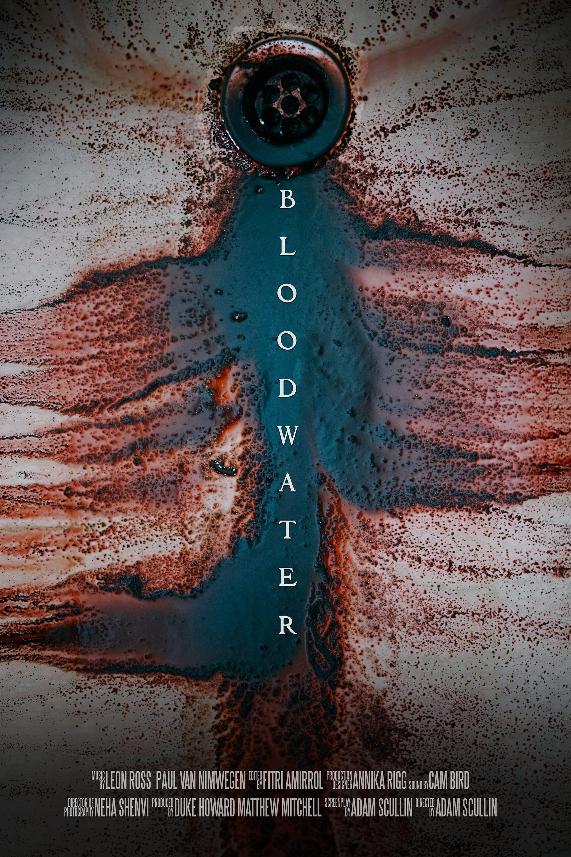 Bloodwater poster