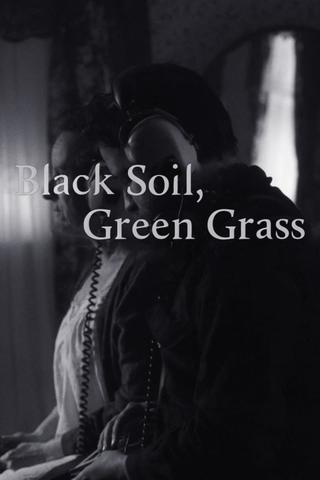 Black Soil, Green Grass poster