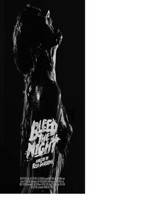 Bleed the Night poster