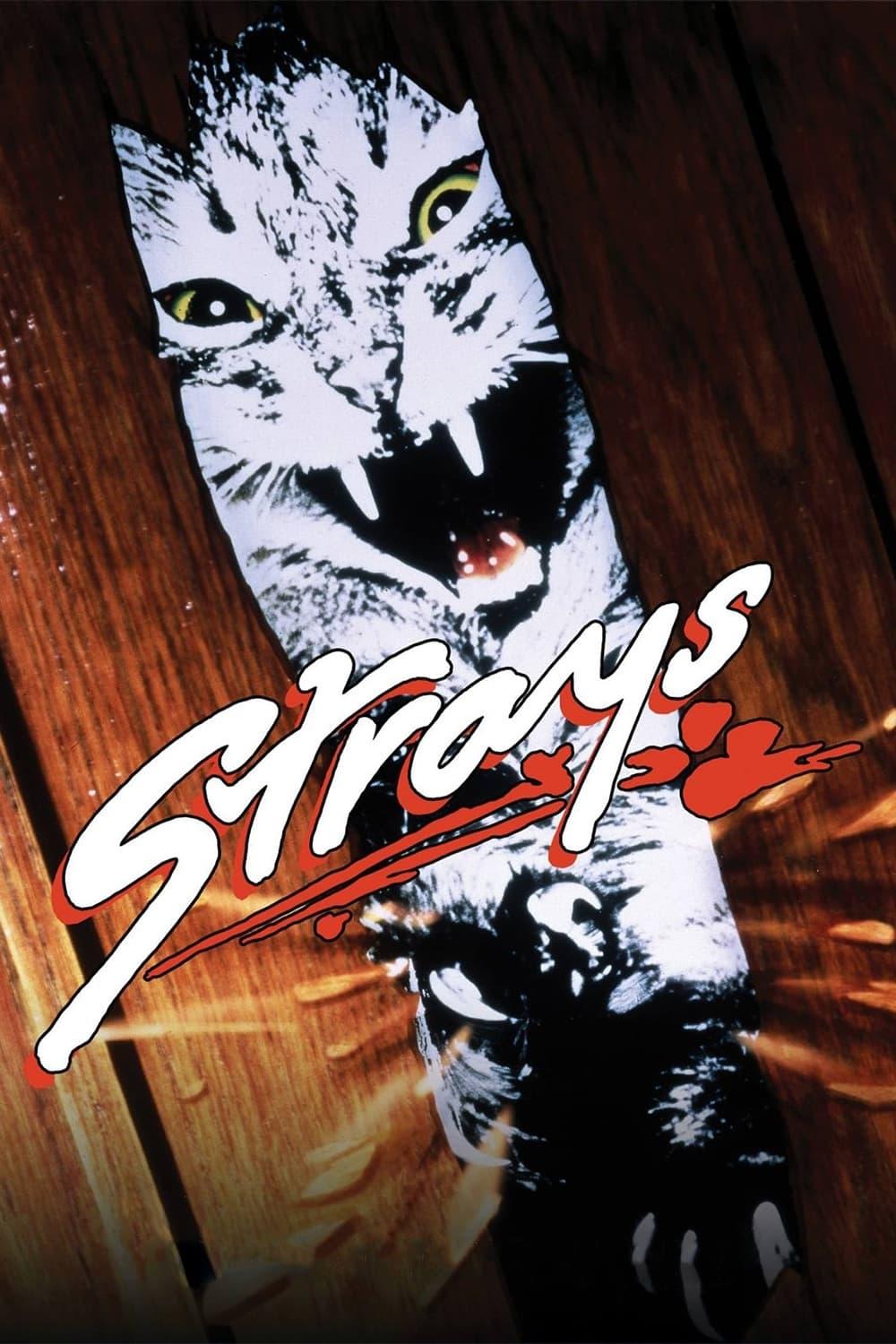 Strays poster