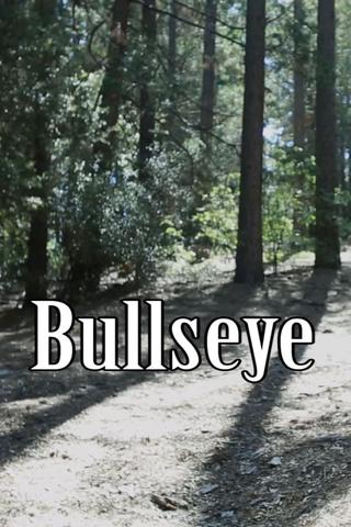 Bullseye poster