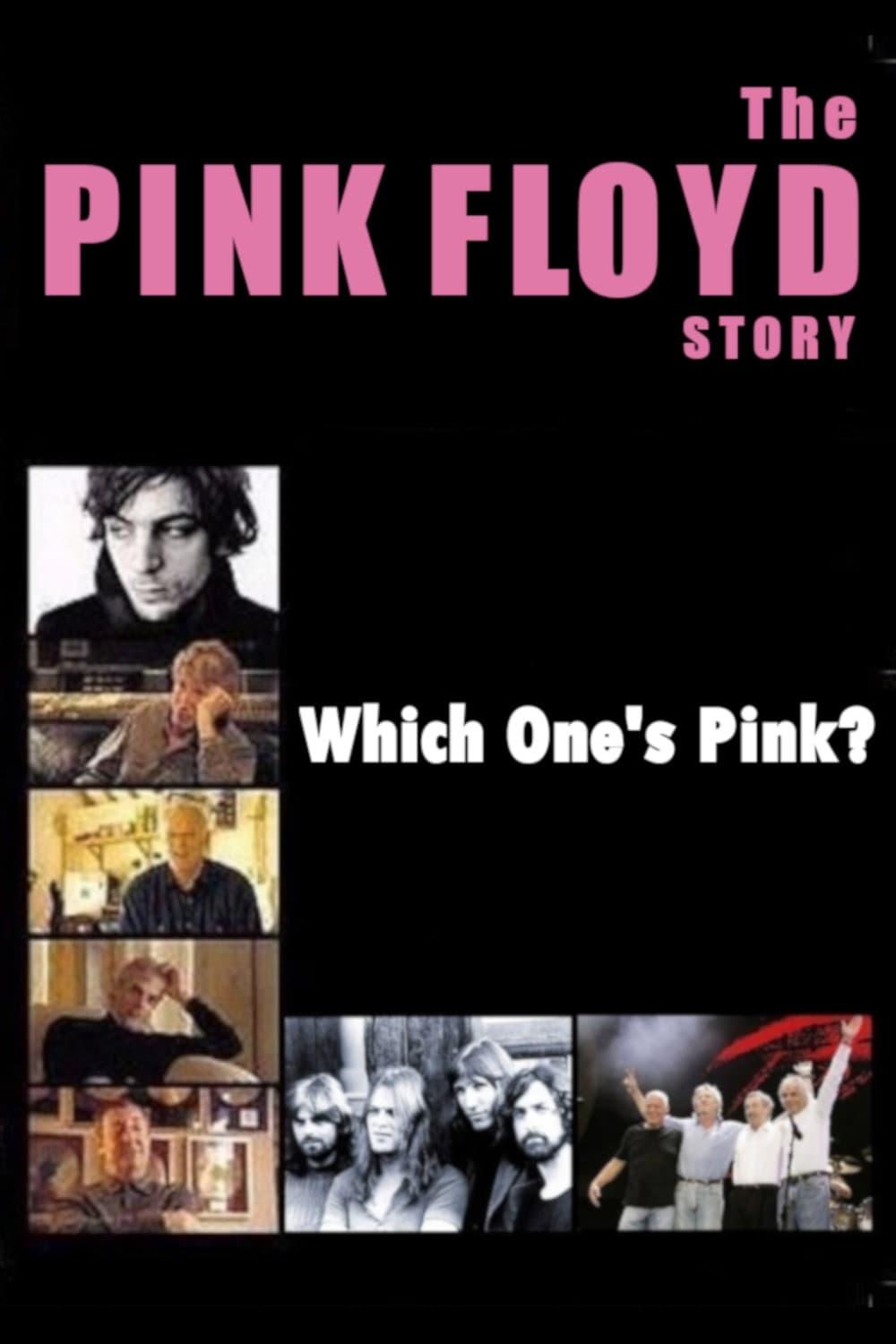 The Pink Floyd Story: Which One's Pink? poster