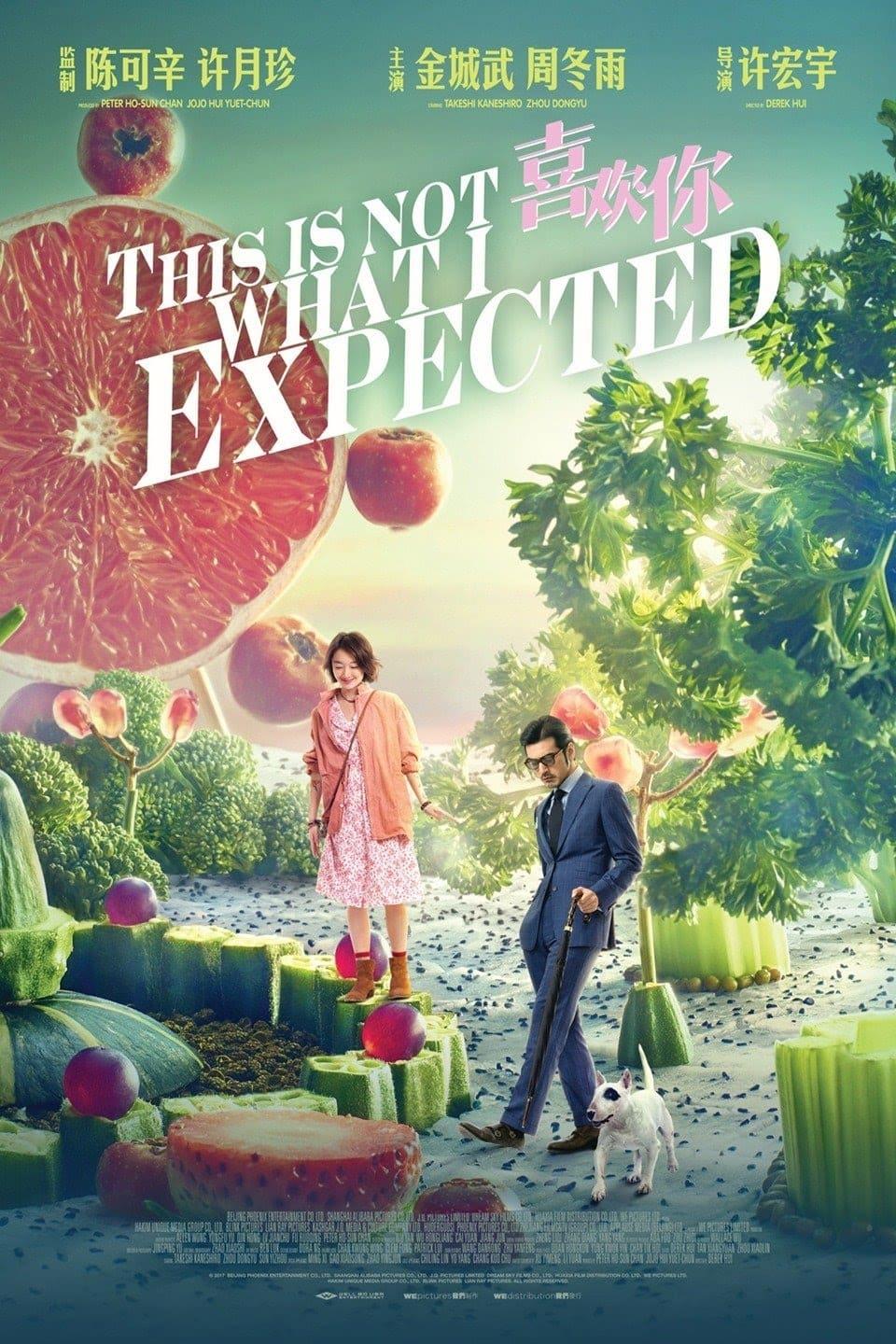 This Is Not What I Expected poster