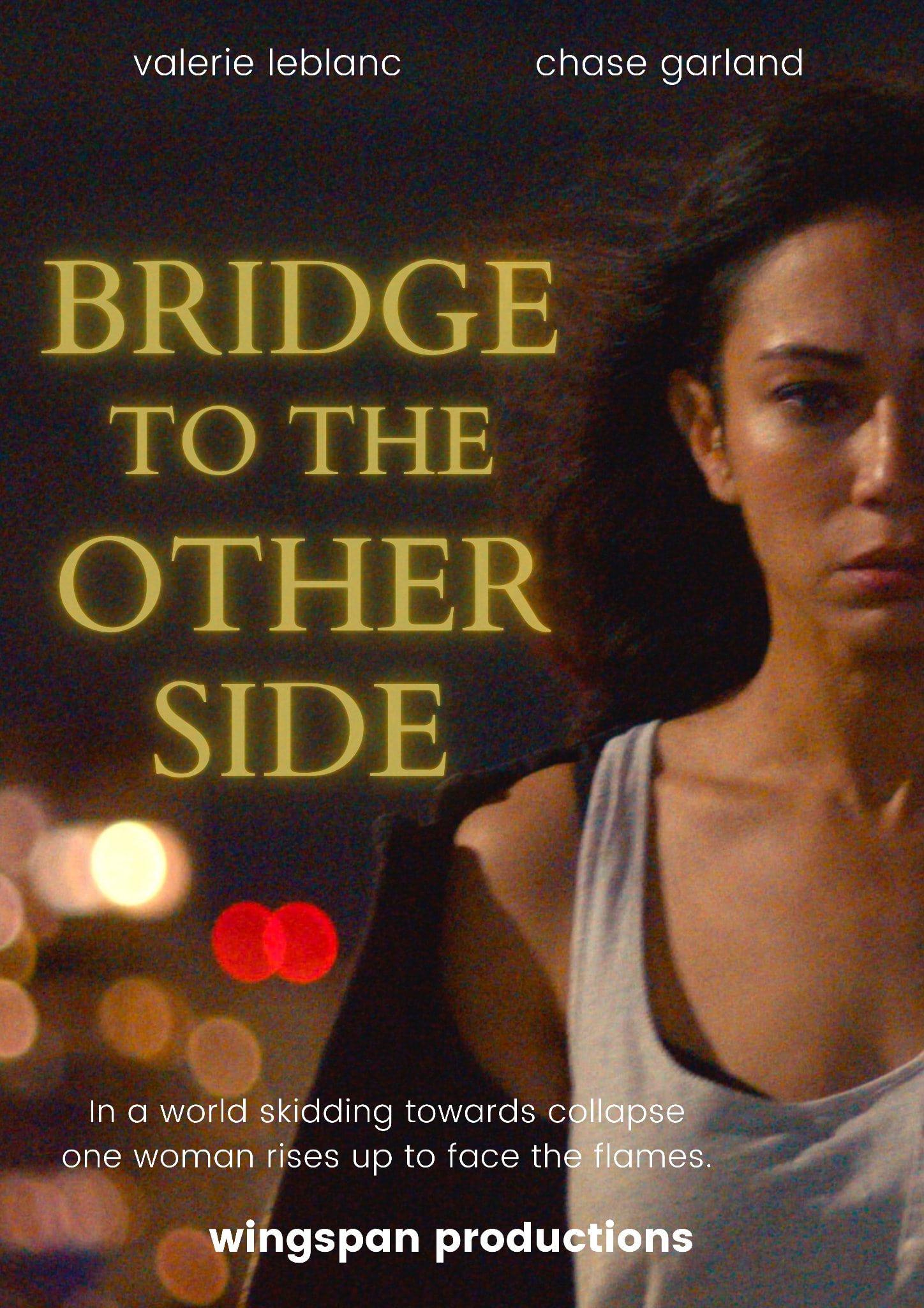 Bridge to the Other Side poster