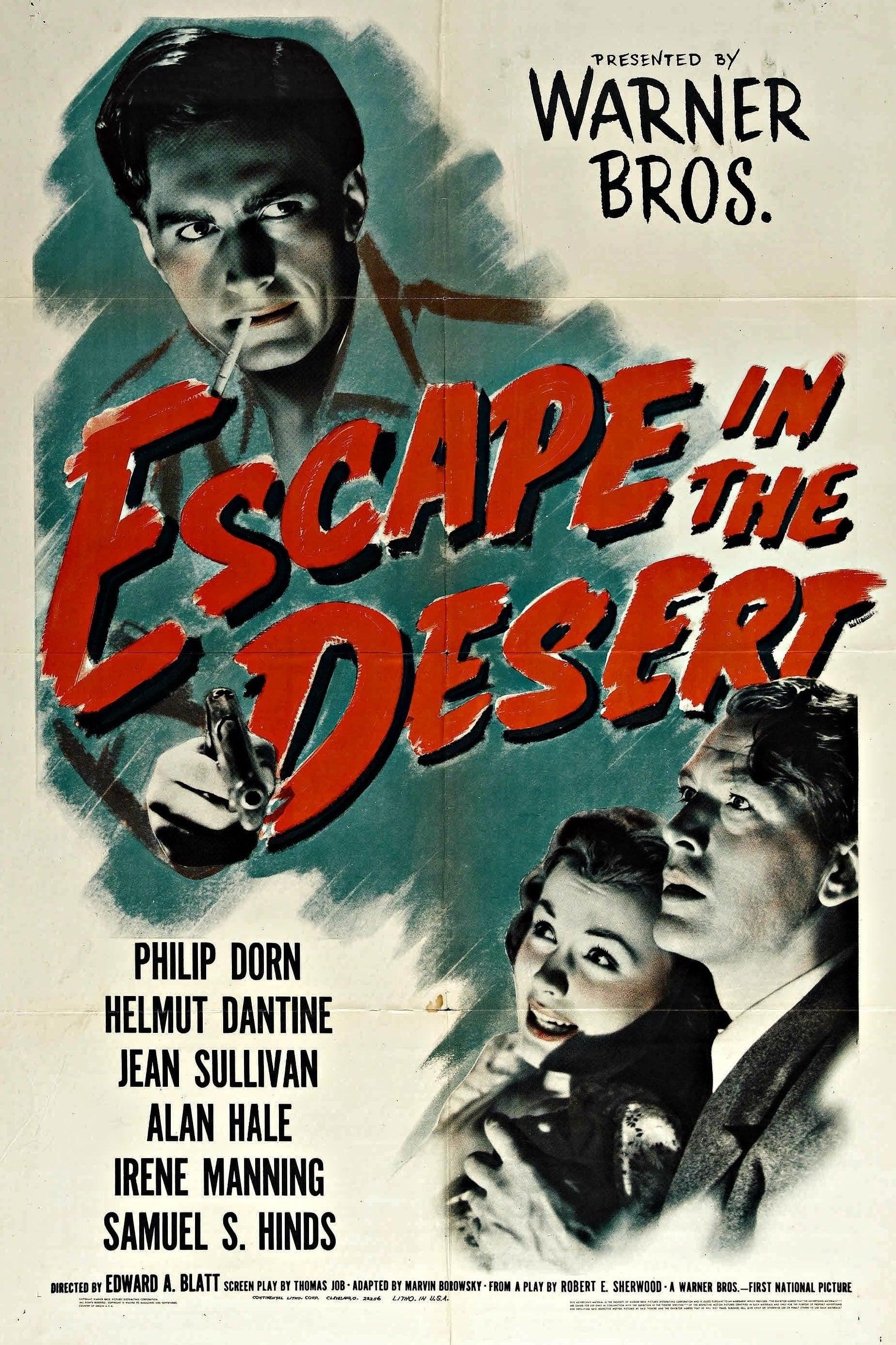 Escape in the Desert poster