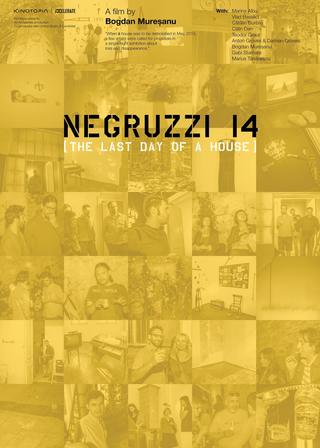 Negruzzi 14 poster