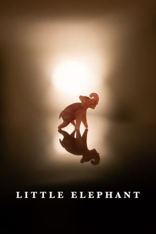 Little Elephant poster