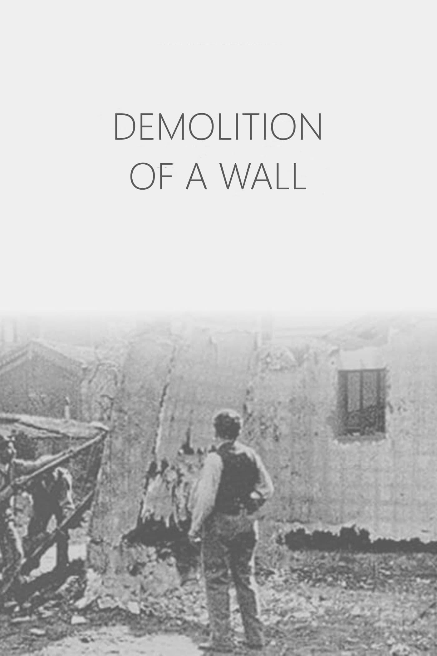 Demolition of a Wall poster
