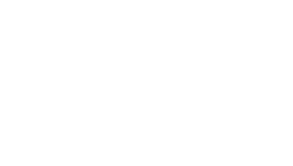 When Fortune Smiles logo