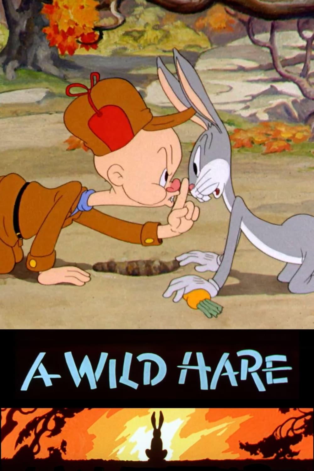 A Wild Hare poster