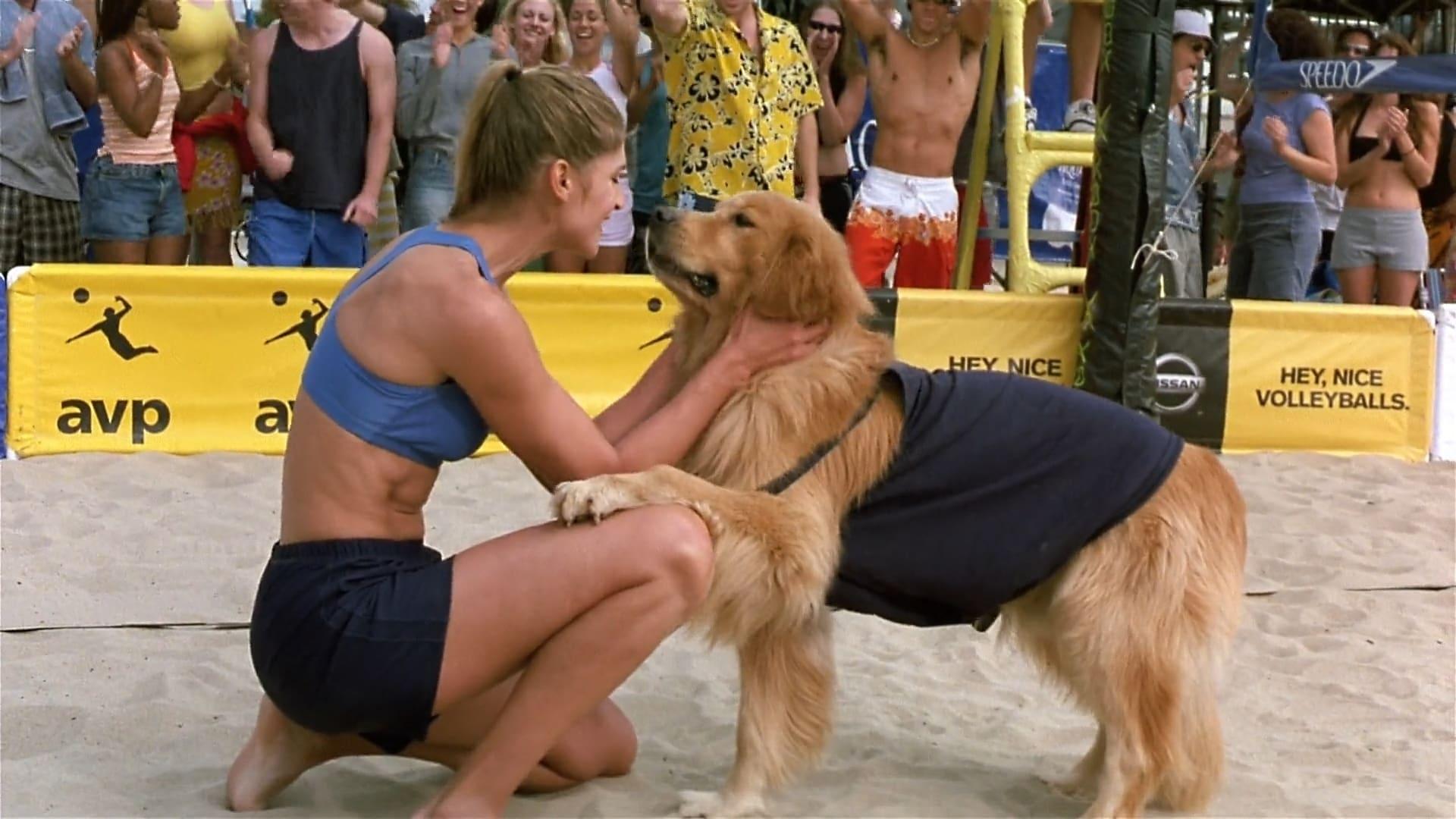 Air Bud: Spikes Back backdrop