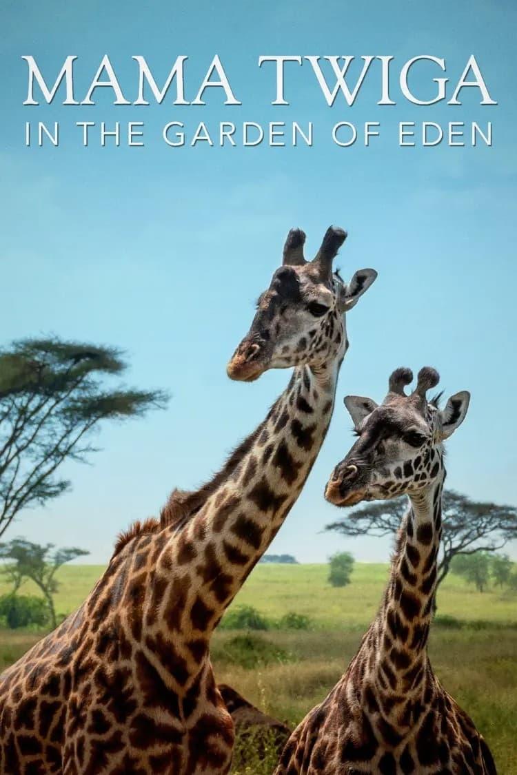 Mama Twiga in the Garden of Eden poster