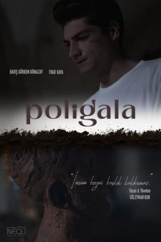 Poligala poster