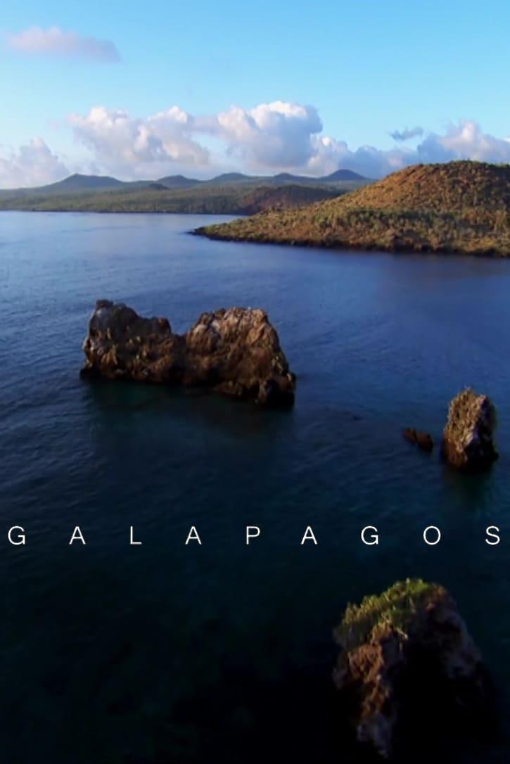 Galapagos poster