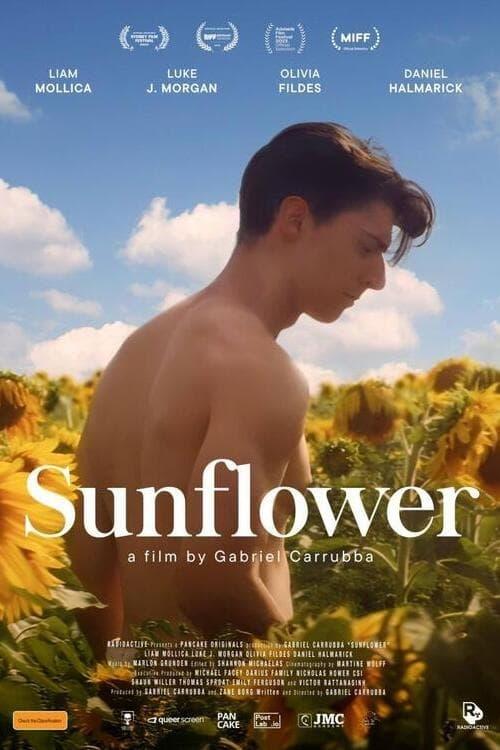 Sunflower poster