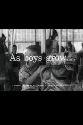 As Boys Grow... poster