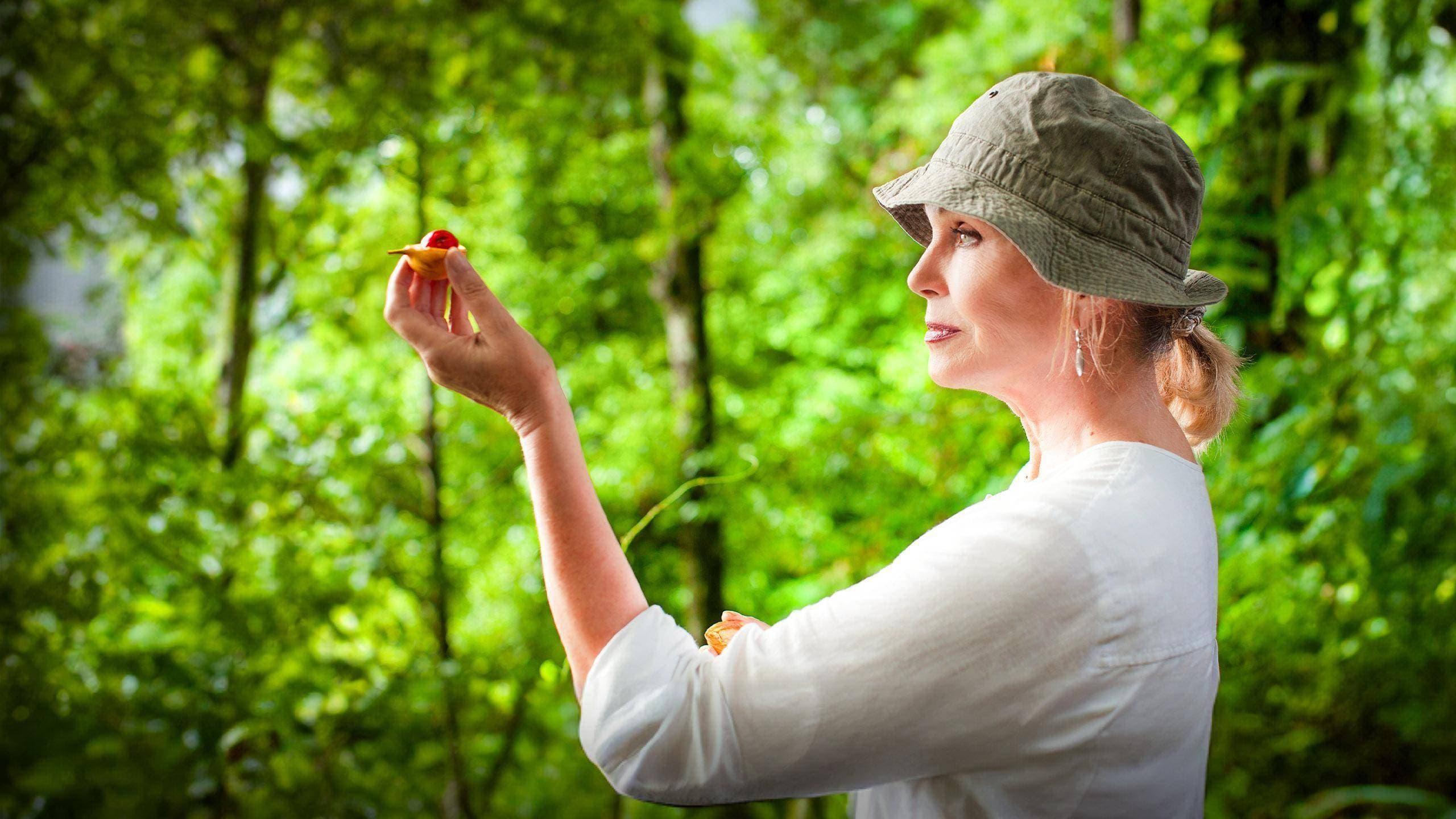 Joanna Lumley's Spice Trail Adventure backdrop