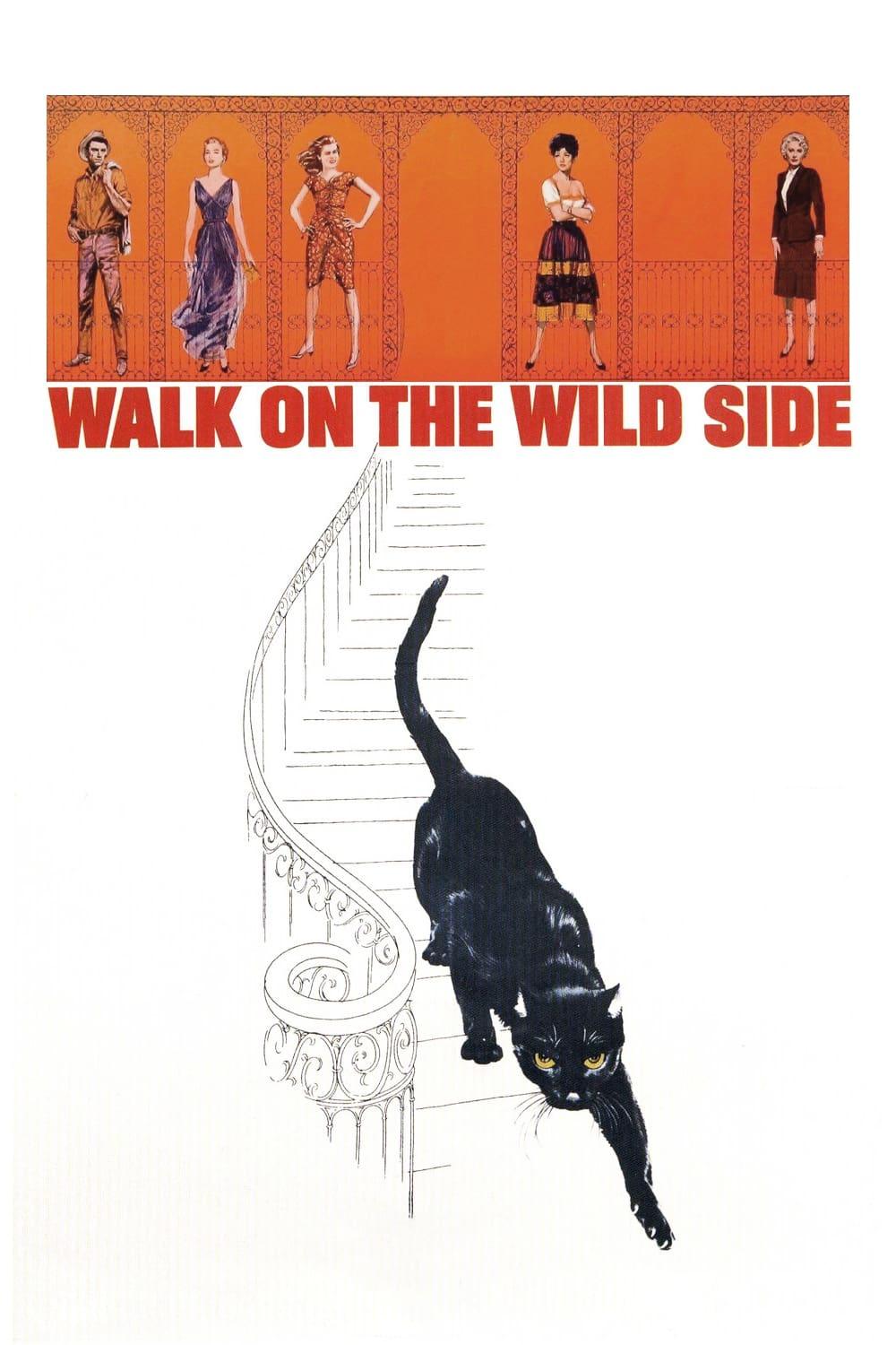 Walk on the Wild Side poster