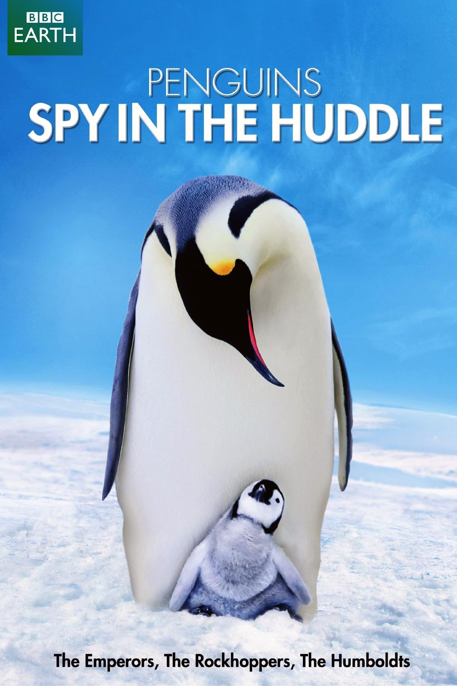Penguins: Spy in the Huddle poster