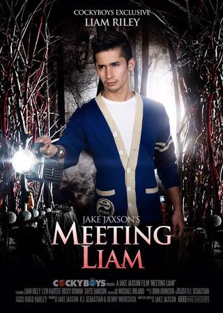 Meeting Liam poster