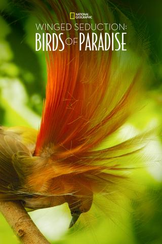 Winged Seduction: Birds of Paradise poster