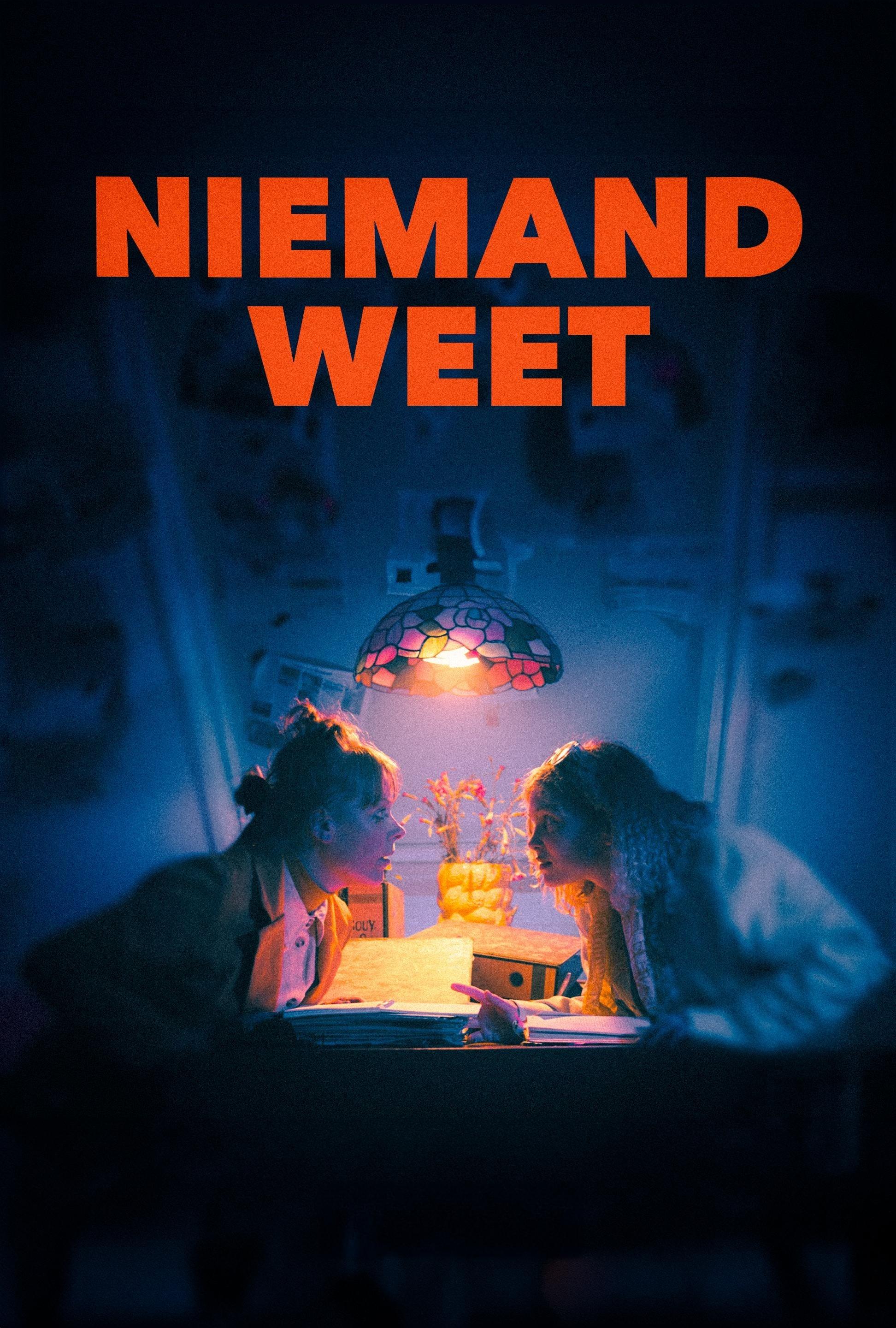 Niemand weet poster